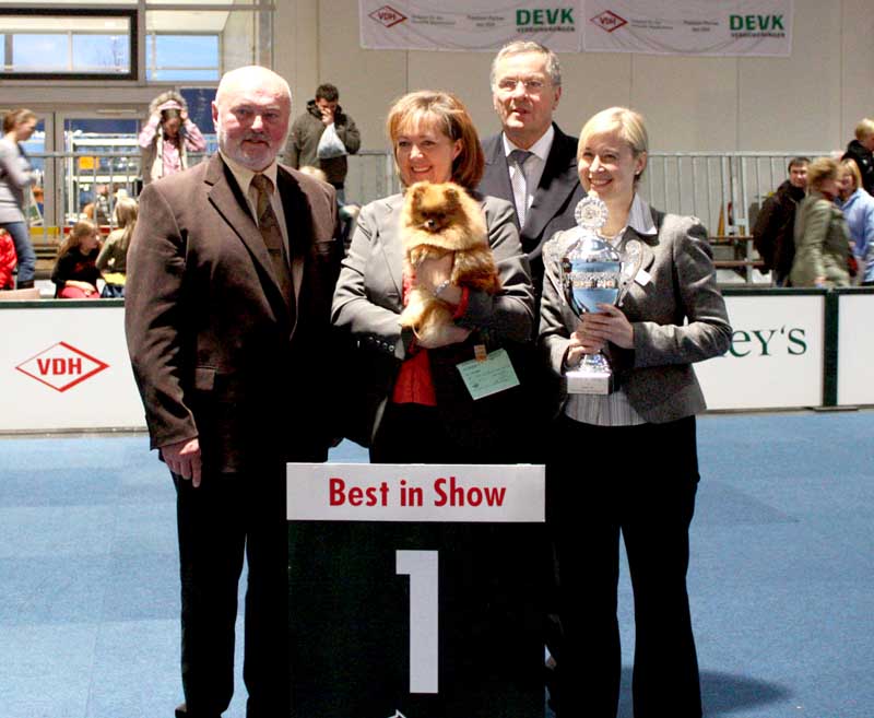 BEST IN SHOW CACIB HAnnover 2009, Zwergspitzh�ndin Head Over Heels of Maja's Pomerianworld