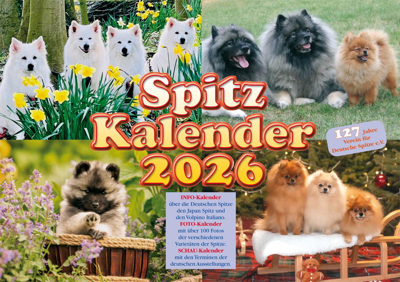 Spitz Kalender 2026