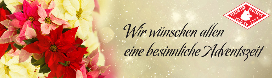 Wir wünschen allen eine besinnliche Adventszeit