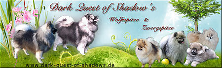 Verein fr Deutsche Spitze e.V. - Zergspitze Dark Quest of Shadows