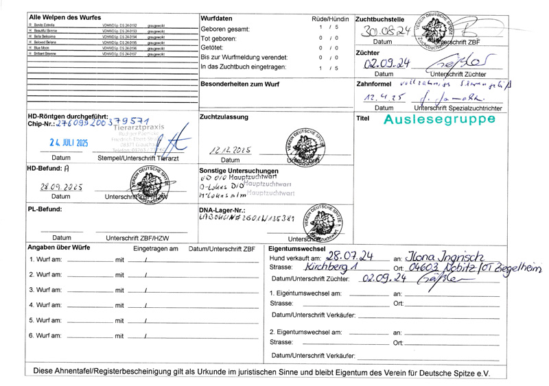 Jimmy vom Großen Stein