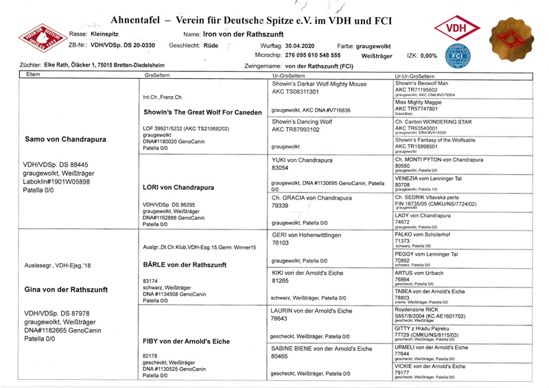 IRON VON DER RATHSZUNFT