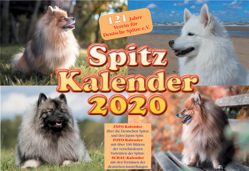 Spitze Kalender 2020