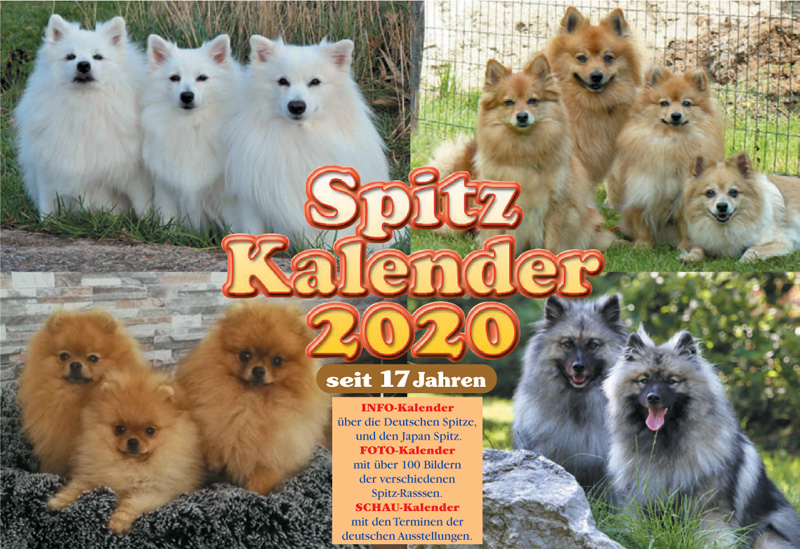 Spitze Kalender 2020