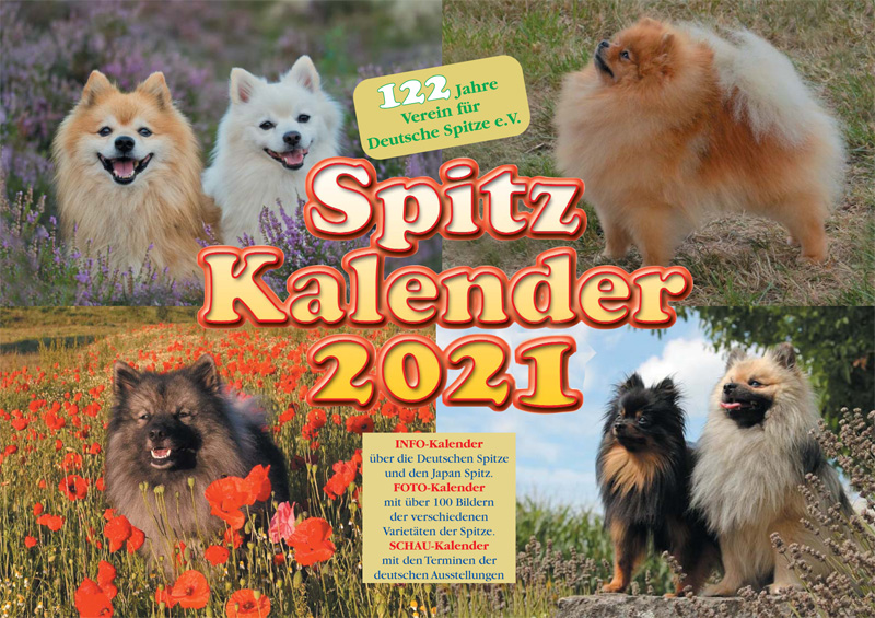 Spitze Kalender 2021