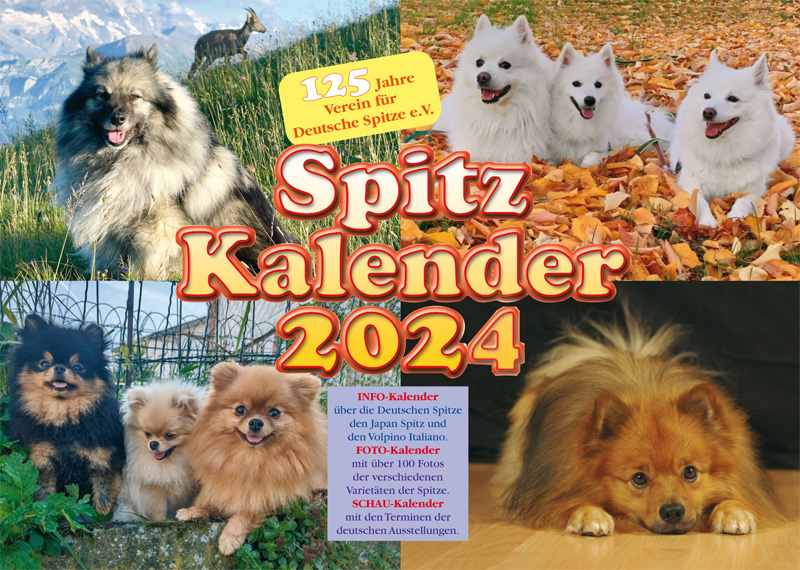 Spitze Kalender 2024