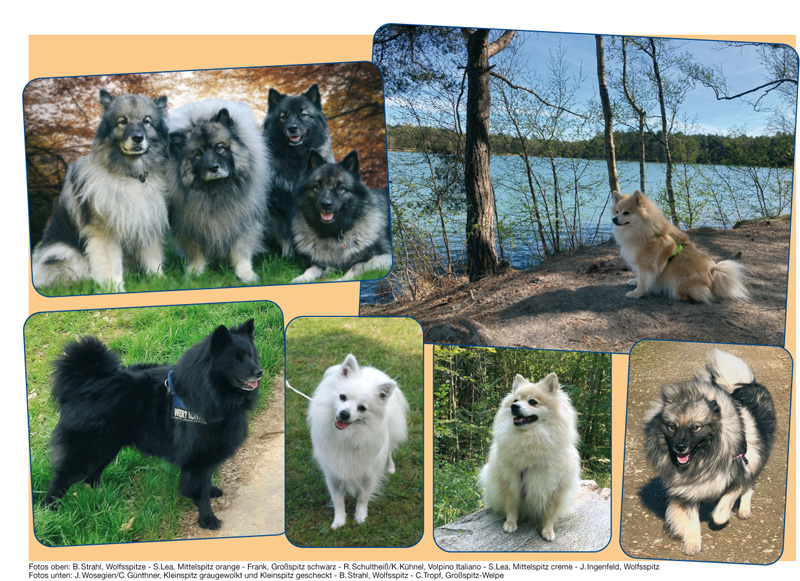 Spitz Kalender 2023