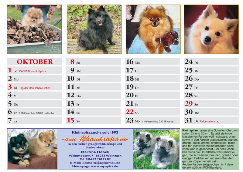 Spitz Kalender 2023