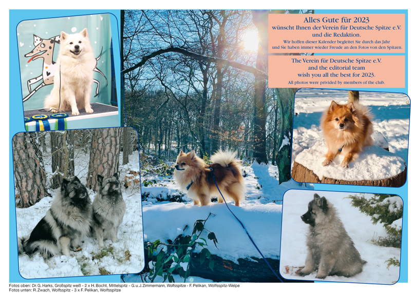 Spitz Kalender 2023