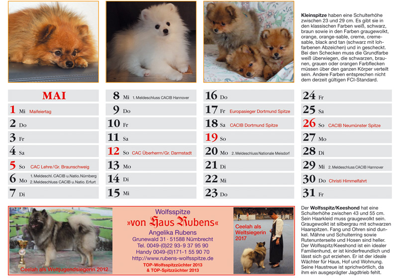 Spitze Kalender 2019